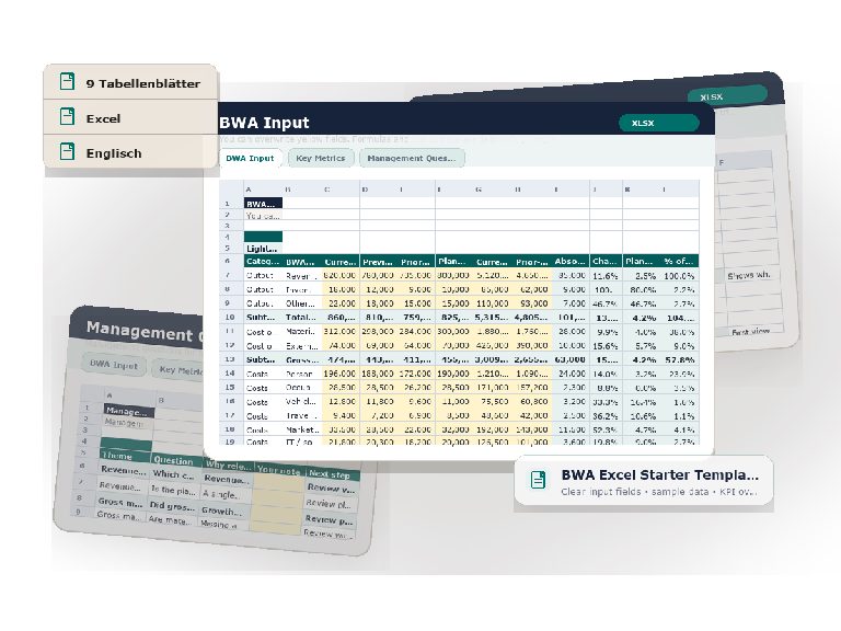 Preview of the downloadable asset BWA Excel Starter Template