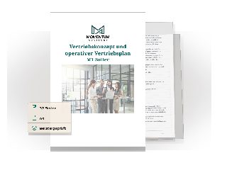 Vorschau des Download-Assets Vertriebskonzept Beispiel