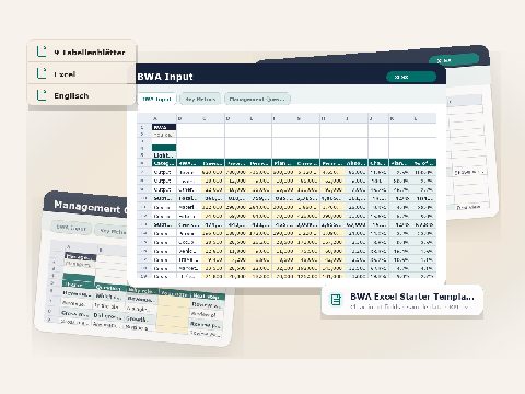 Preview of the downloadable asset BWA Excel Starter Template
